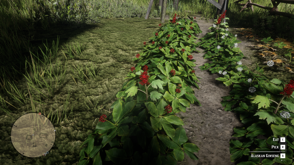 Red Dead Online Alaskan Ginseng