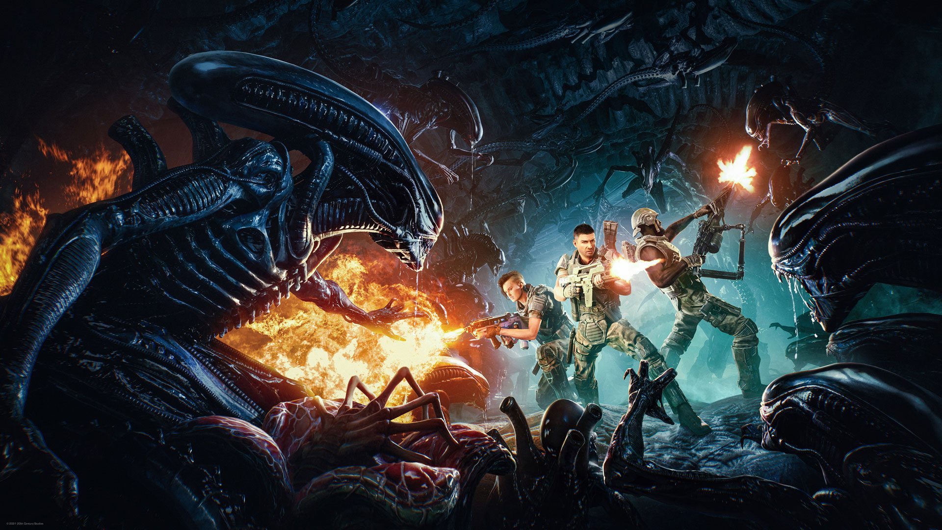 Buy Xbox 360 Aliens Vs Predator Online in UAE